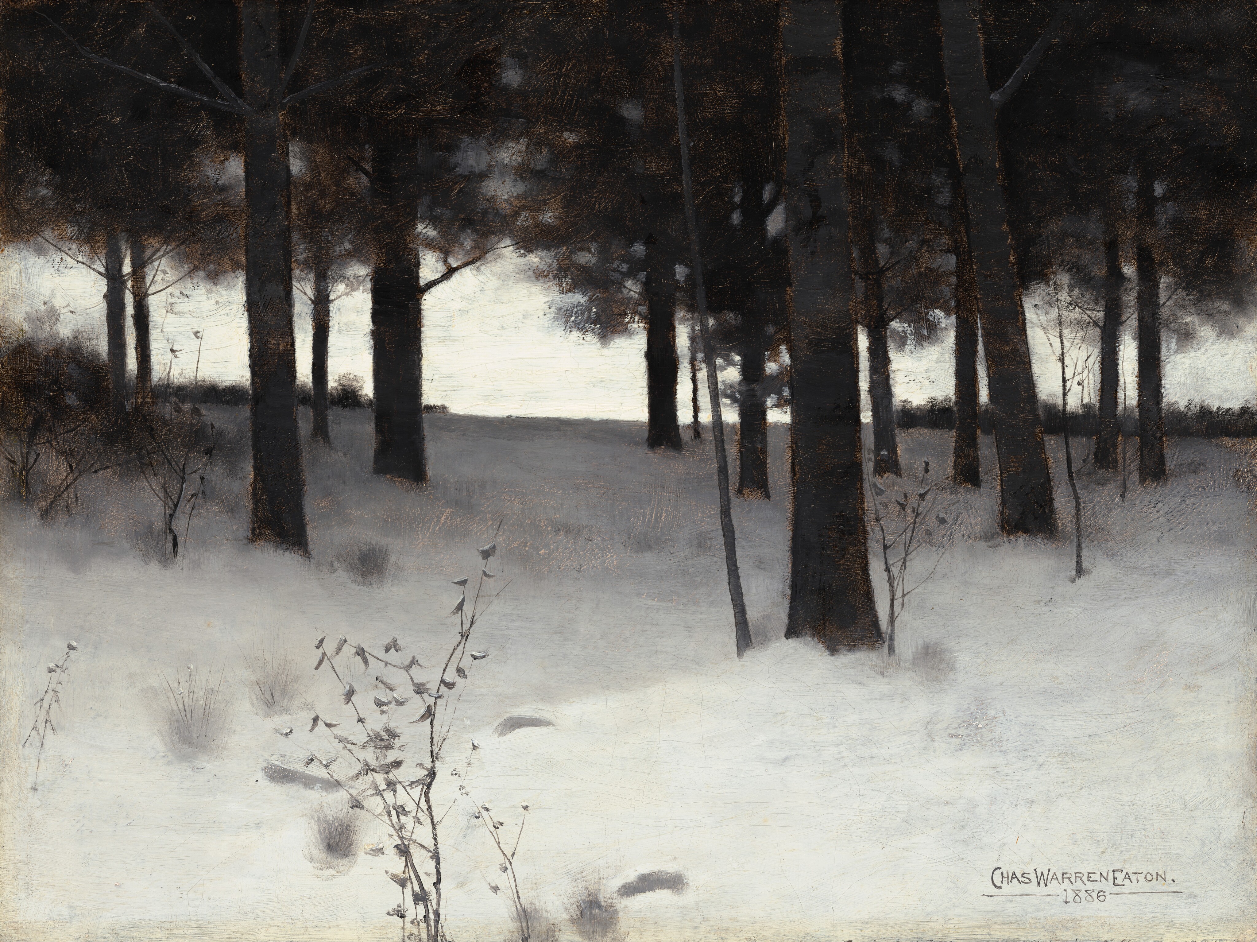 Winter's First Breath